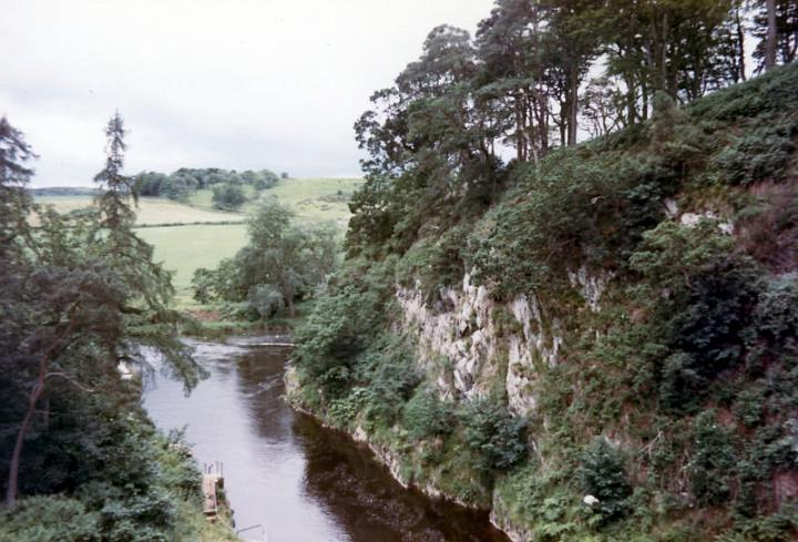 Peter's Gallery (6).jpg